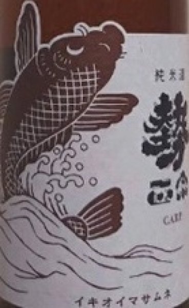 画像2: 勢正宗 CARP 純米酒 火入 1800ml 令和7BY (2)