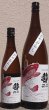 画像1: 勢正宗 Autumn carp 純米吟醸無濾過火入れ ひやおろし 720ml or 1800ml 令和7BY (1)