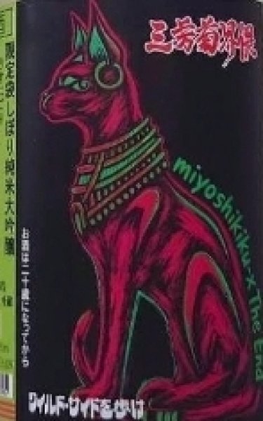 画像2: 三芳菊界隈 山田錦 純米大吟醸 袋しぼり うすにごり 720ml 令和7BY (2)