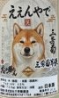 画像2: 三芳菊界隈 ええんやで 犬しか勝たん 720ml (2)